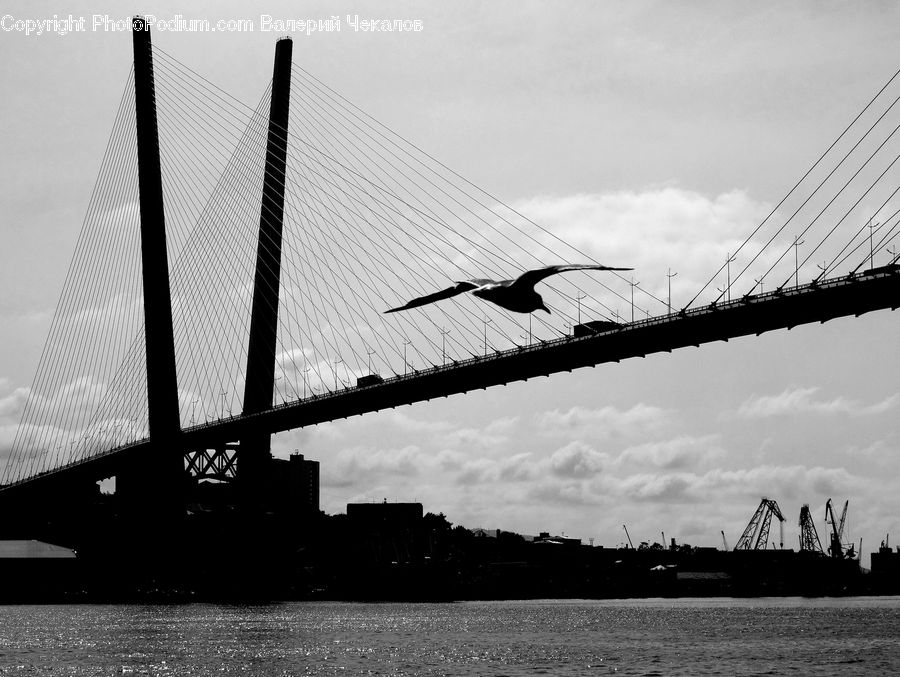Bridge, Constriction Crane, Silhouette, City, Downtown, Urban