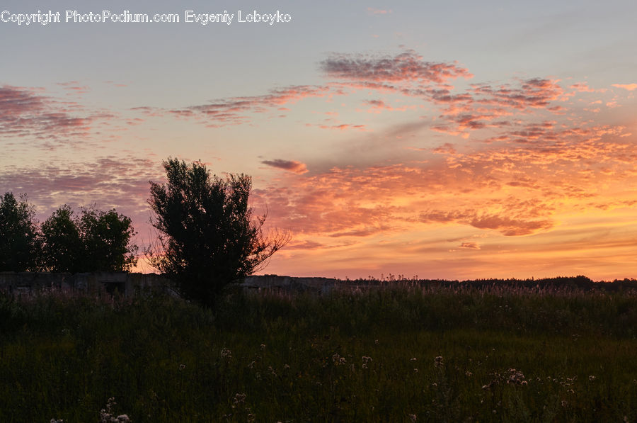 Dawn, Dusk, Red Sky, Sky, Sunrise, Sunset, Outdoors