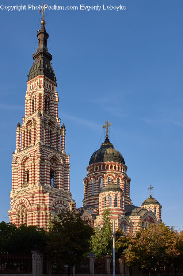 Plant, Potted Plant, Building, Tree, Architecture, Cathedral, Church