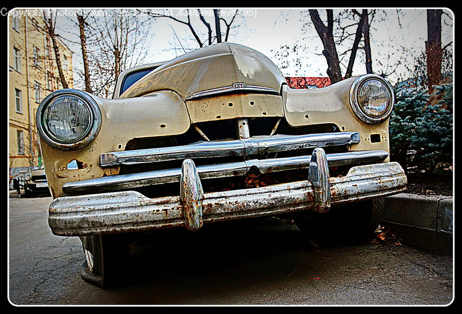 Automobile, Car, Sedan, Vehicle, Convertible, Hot Rod, Bumper
