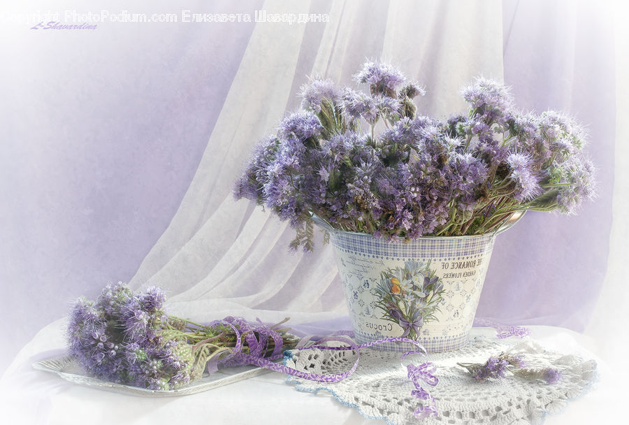 Greeting Card, Mail, Blossom, Flower, Lilac, Plant, Lavender