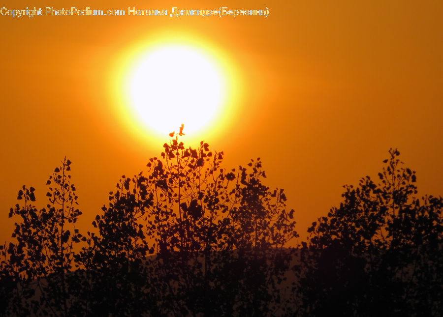 Dusk, Outdoors, Sky, Sunlight, Sunrise, Sunset, Flare