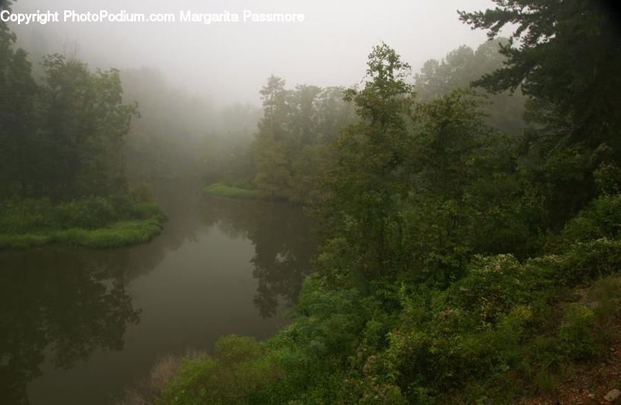 Fog, Mist, Outdoors, Forest, Vegetation, River, Water