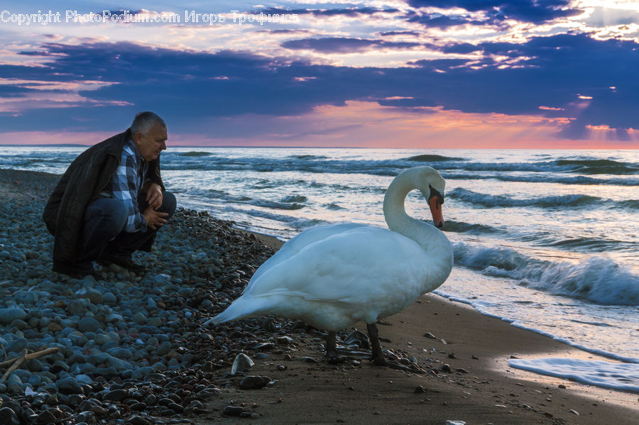 People, Person, Human, Coast, Outdoors, Sea, Water