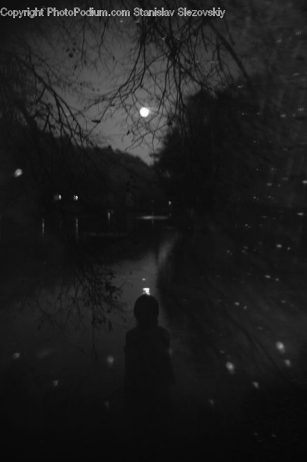 People, Person, Human, Silhouette, Night, Outdoors, Astronomy