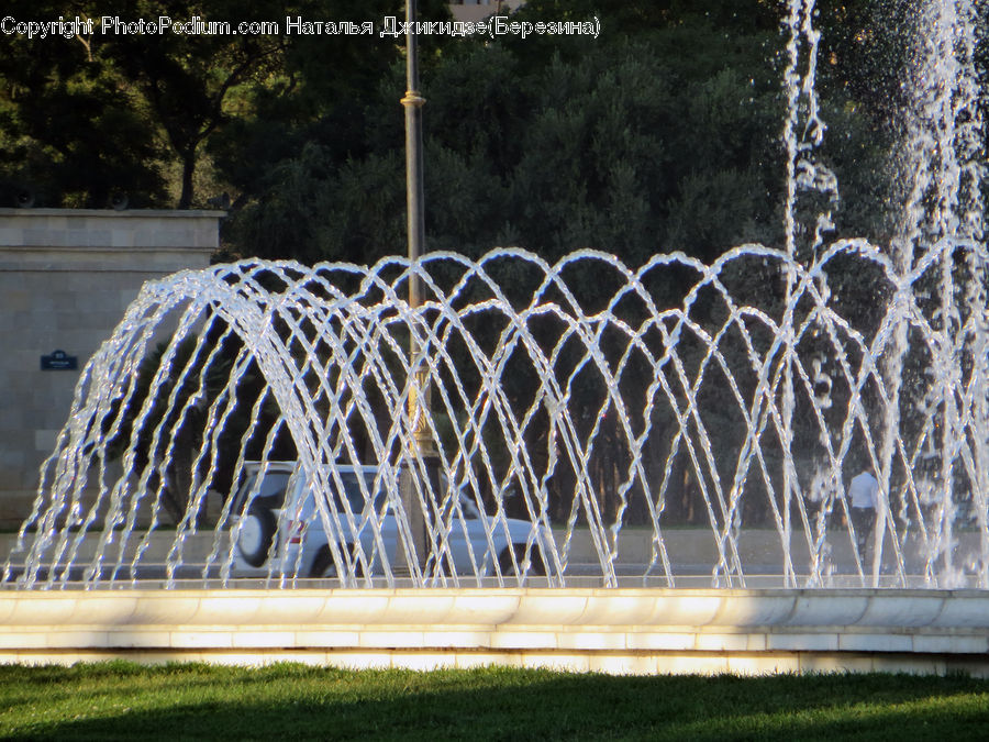 Fountain, Water, Parking, Parking Lot, Fir, Forest, Grove