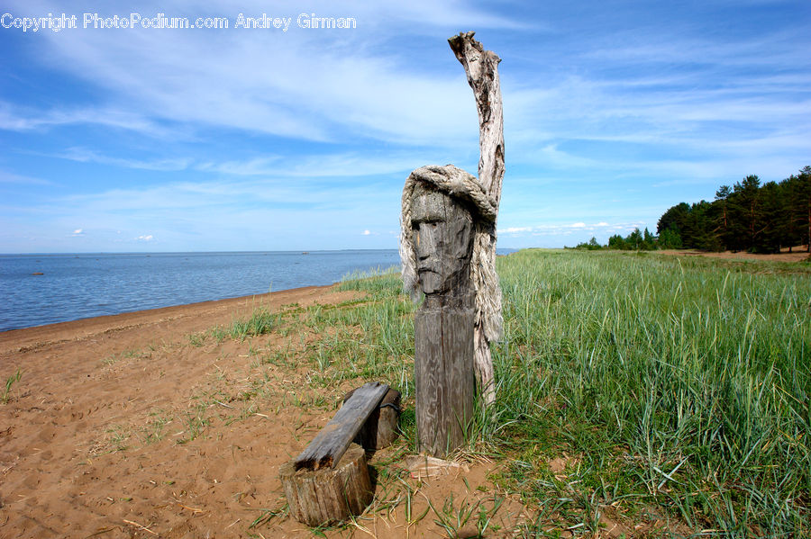 Tree Stump, Field, Grass, Grassland, Plant, Beach, Coast