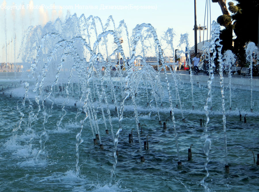 People, Person, Human, Fountain, Water, Plant, Tree