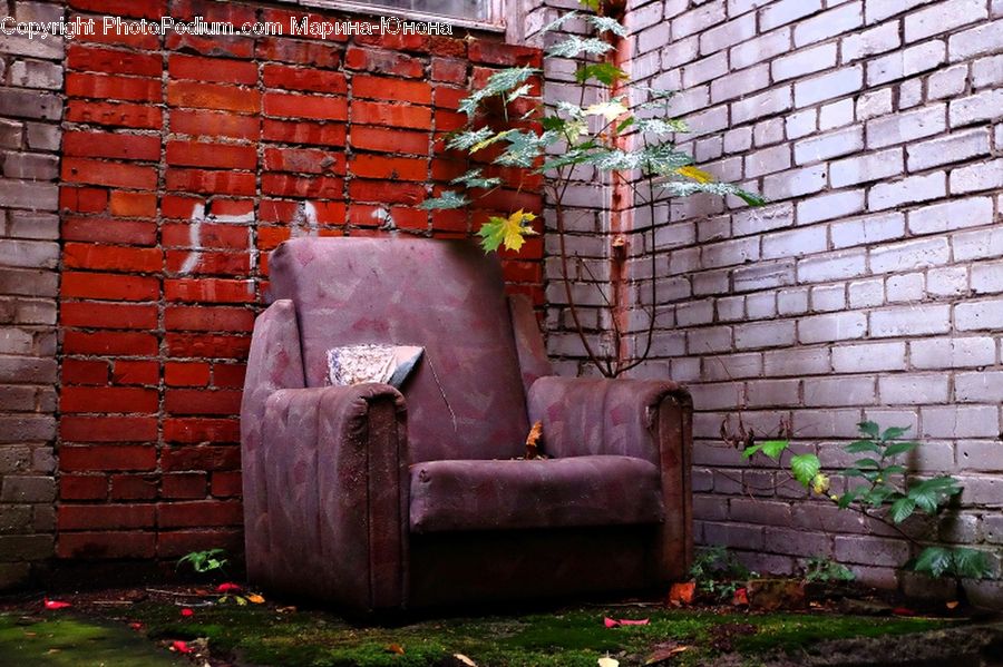 Chair, Furniture, Couch, Brick, Ivy, Plant, Vine