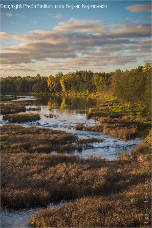 Land, Marsh, Pond, Swamp, Water, Outdoors, River