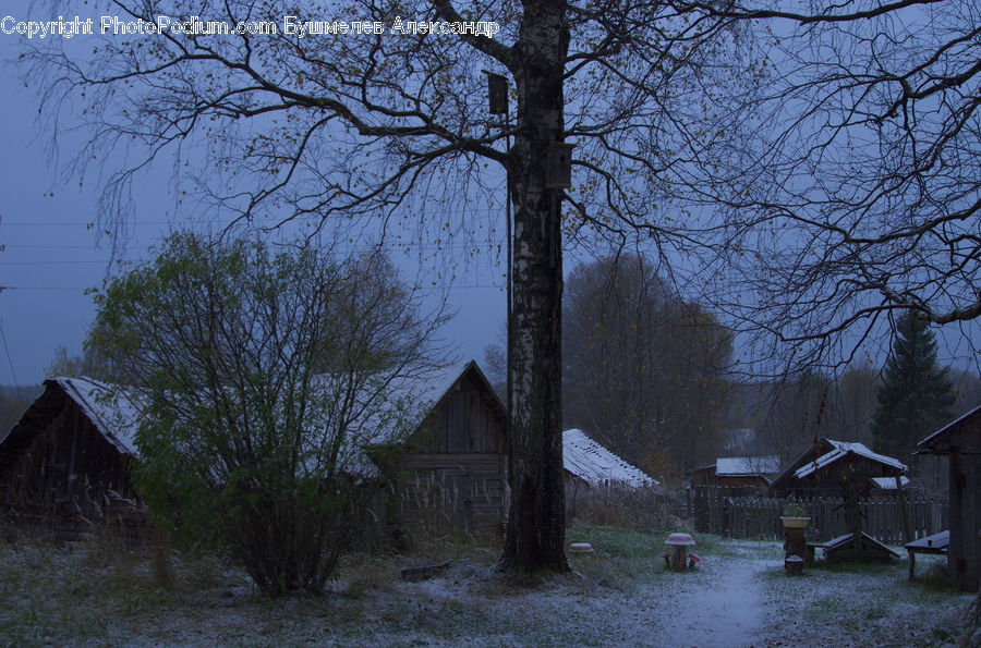 Cabin, Hut, Rural, Shack, Shelter, Building, Cottage