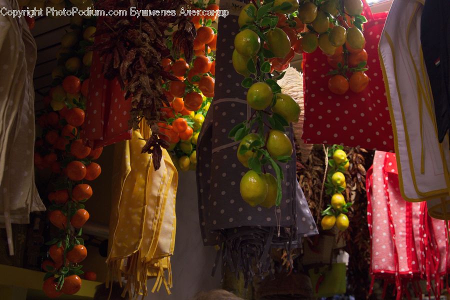 Plant, Potted Plant, Boutique, Shop, Window Display, Fruit, Grapes