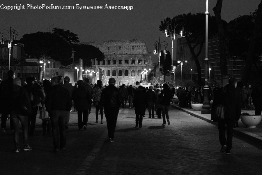 Human, People, Person, Asphalt, Tarmac, Crowd, Carnival