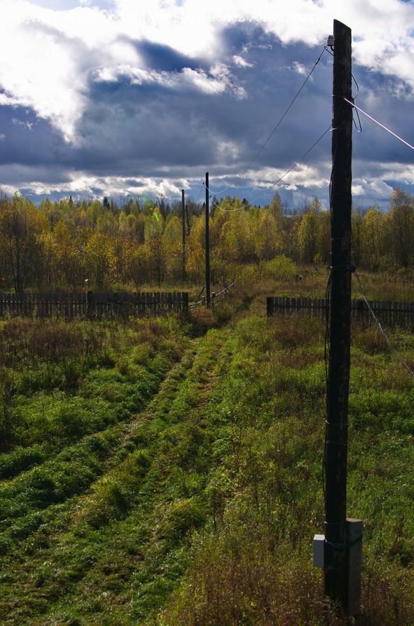 Dirt Road, Gravel, Road, Field, Grass, Grassland, Land