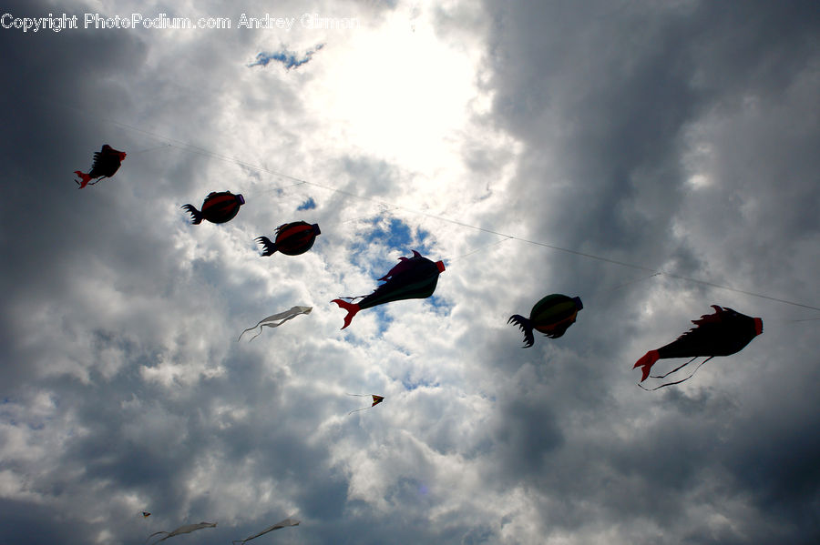 Kite, Azure Sky, Cloud, Outdoors, Sky, Adventure, Parachute