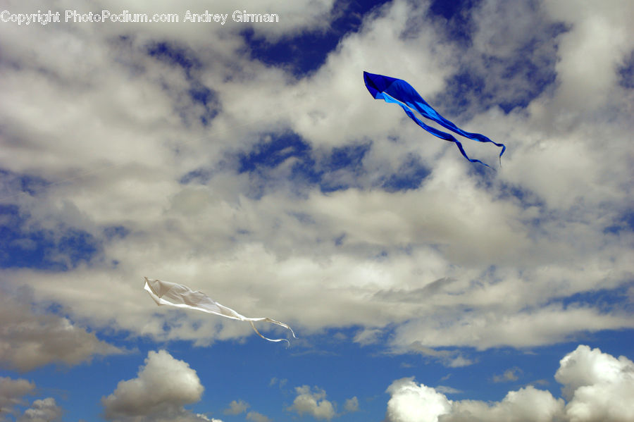 Kite, Azure Sky, Cloud, Outdoors, Sky, Cumulus, Bird