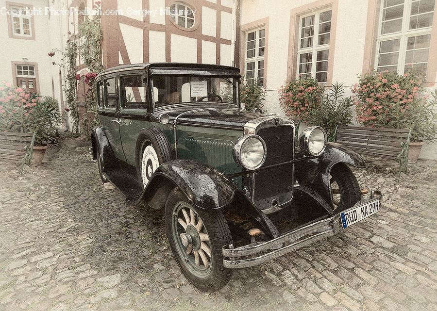 Antique Car, Car, Model T, Plant, Potted Plant, Vehicle, Automobile
