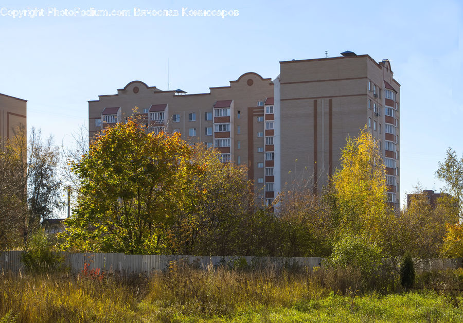 Apartment Building, Building, High Rise, Housing, City, Office Building, Downtown