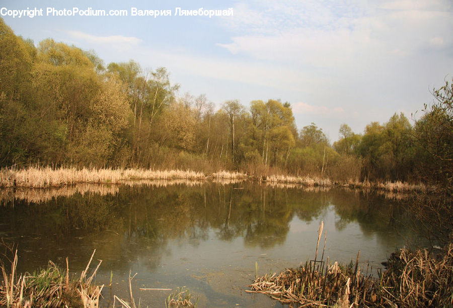 Outdoors, Pond, Water, Lake, Field, Grass, Grassland