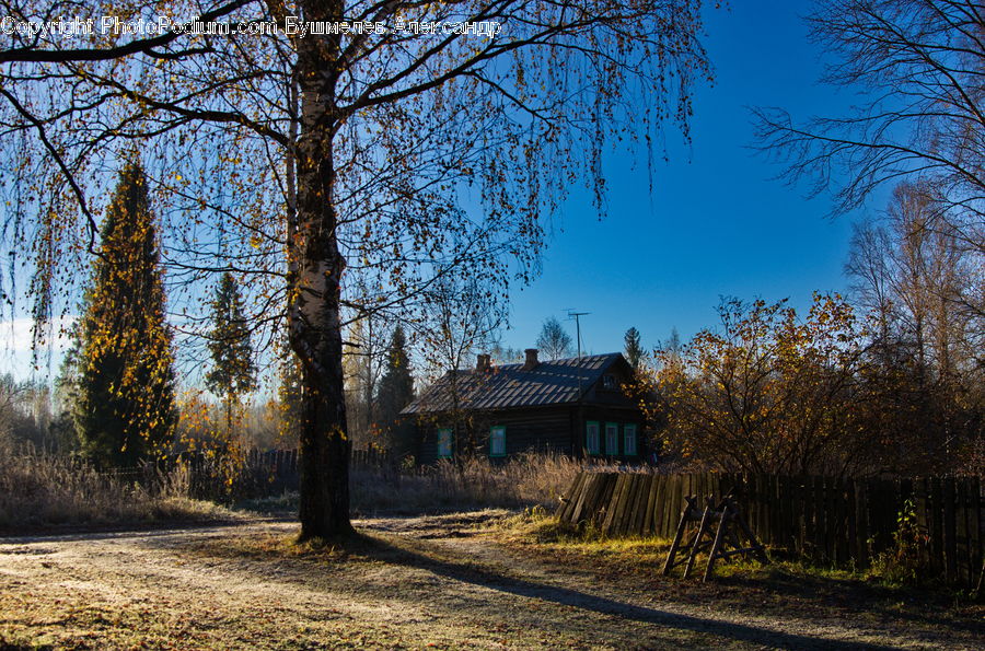 Dirt Road, Gravel, Road, Cabin, Hut, Rural, Shack