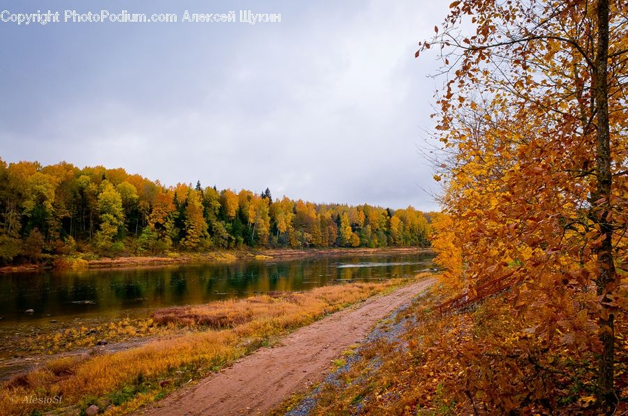 Dirt Road, Gravel, Road, Boardwalk, Deck, Path, Sidewalk