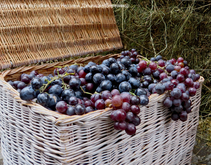 Blueberry, Fruit, Market, Produce, Grapes, Cherry, Basket
