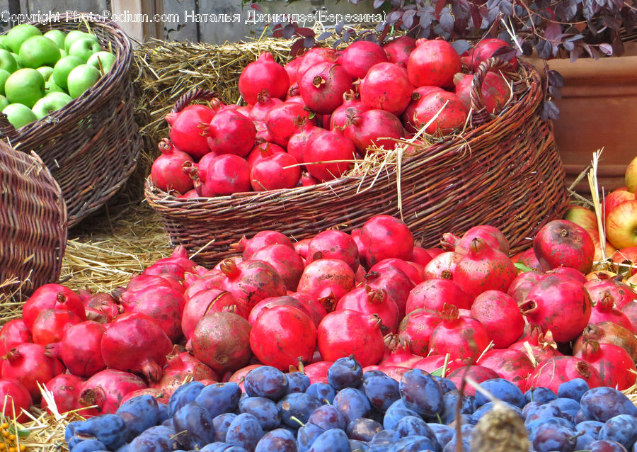 Fruit, Market, Produce, Grapes, Vegetable, Onion, Shallot