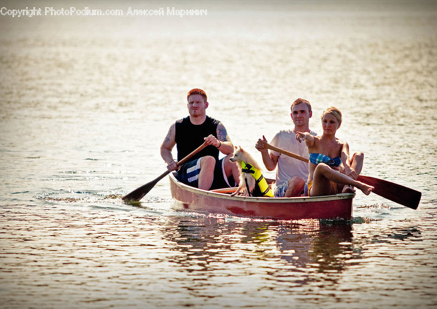 People, Person, Human, Boat, Canoe, Rowboat, Watercraft