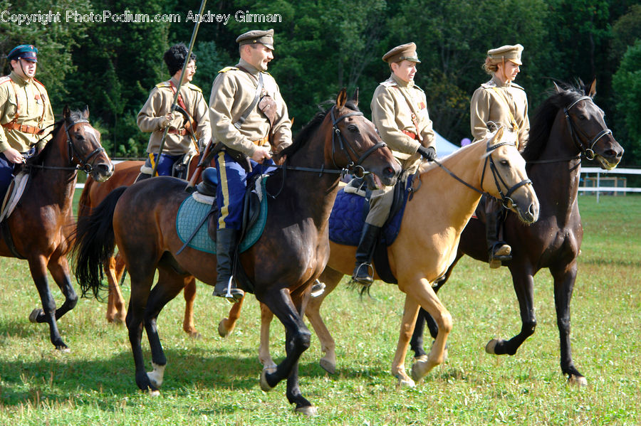 People, Person, Human, Animal, Equestrian, Horse, Polo