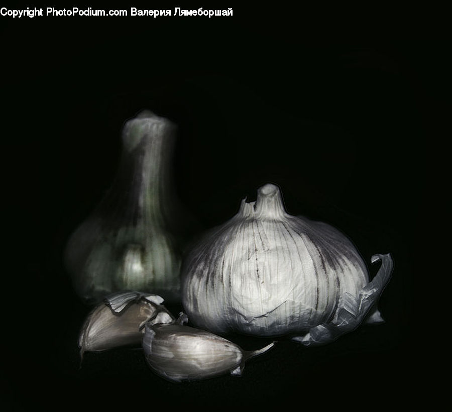 Garlic, Plant, People, Person, Human