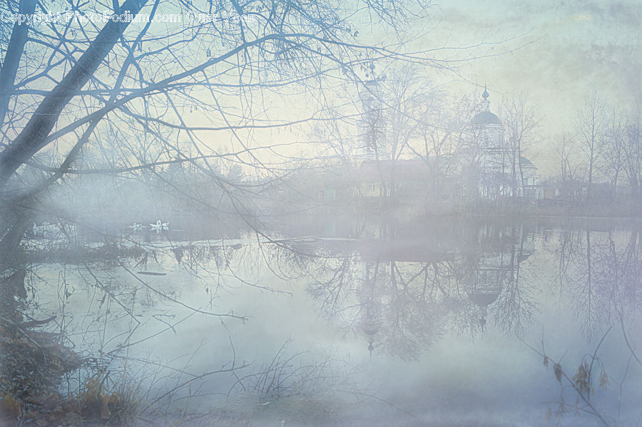 Fog, Mist, Outdoors, Landscape, Nature, Scenery