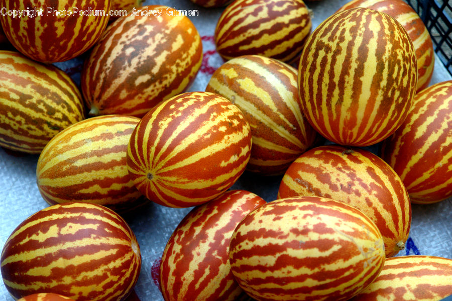 Squash, Vegetable, Fruit, Melon, Pumpkin, Food, Easter Egg