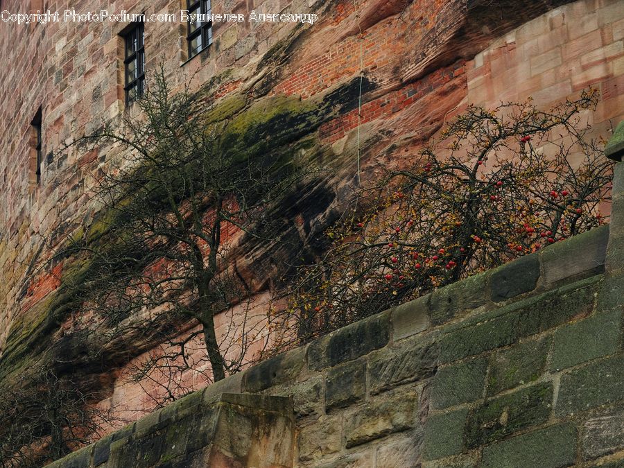 Castle, Fort, Pot, Pottery, Blossom, Flora, Flower