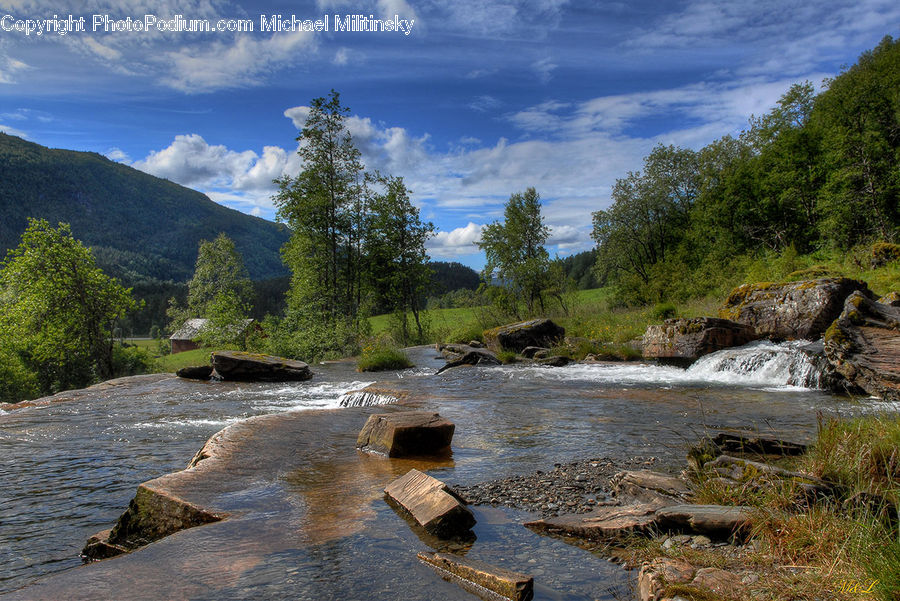 Creek, Outdoors, Stream, Water, River, Rock, Forest
