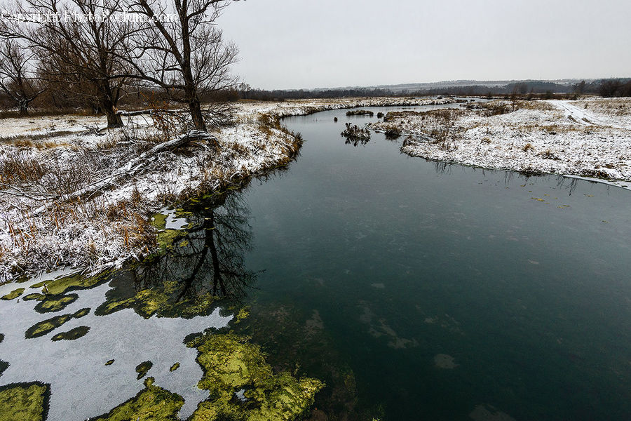 Algae, Creek, Outdoors, River, Water, Land, Marsh