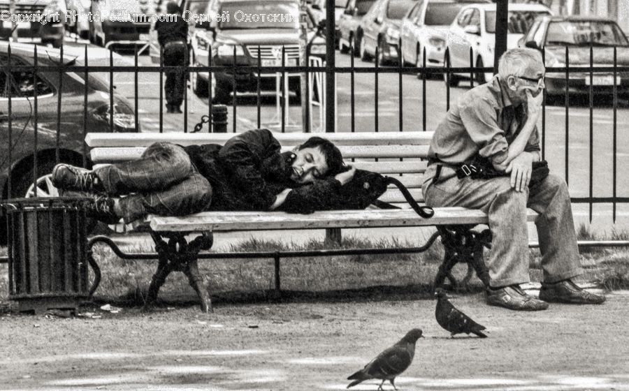 People, Person, Human, Bench, Bird, Pigeon, Automobile