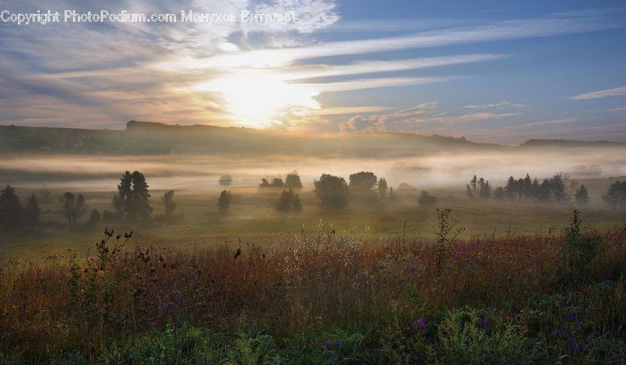 Dawn, Dusk, Sky, Sunrise, Sunset, Field, Grass