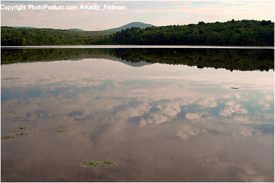 Lake, Outdoors, Water, Nature, Landscape, Scenery, Forest