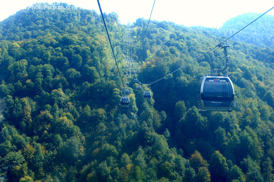 Cable Car, Trolley, Vehicle, Train, Forest, Jungle, Rainforest
