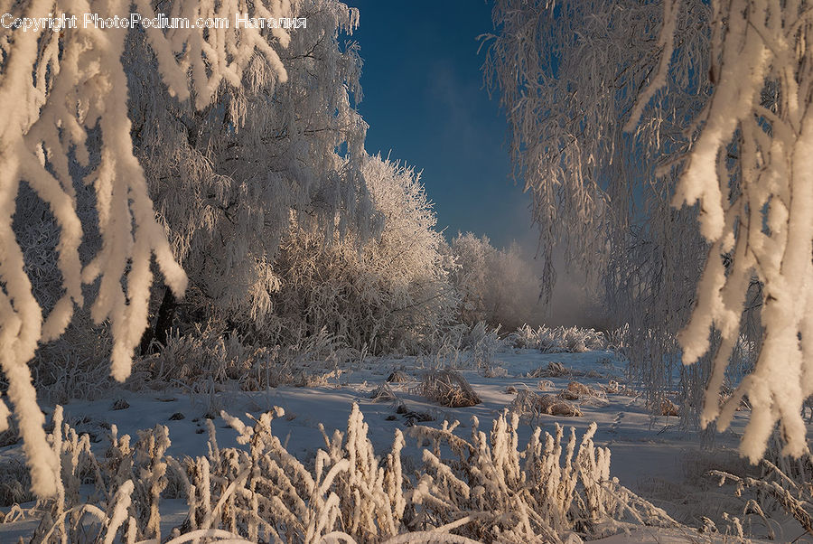 Frost, Ice, Outdoors, Snow, Arctic, Glacier, Mountain