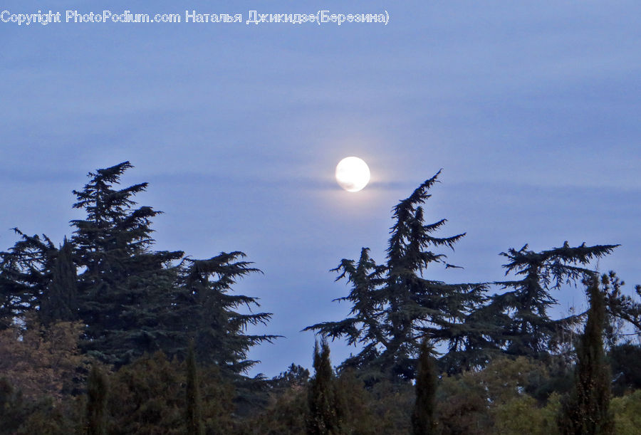 Astronomy, Full Moon, Night