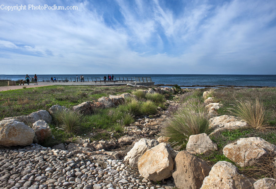 Rock, Tree Stump, Coast, Outdoors, Sea, Water, Beach