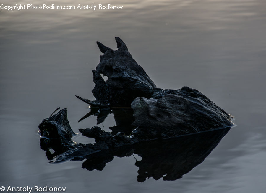 Art, Modern Art, Tree Stump, Rock