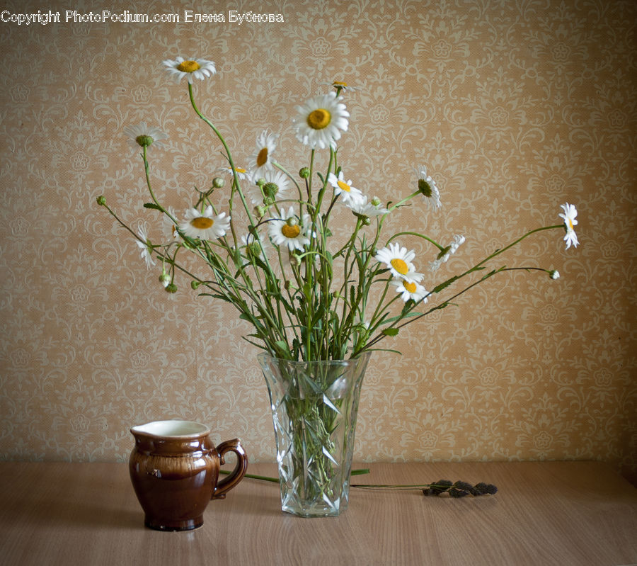Jar, Porcelain, Vase, Flower Arrangement, Ikebana, Plant, Potted Plant