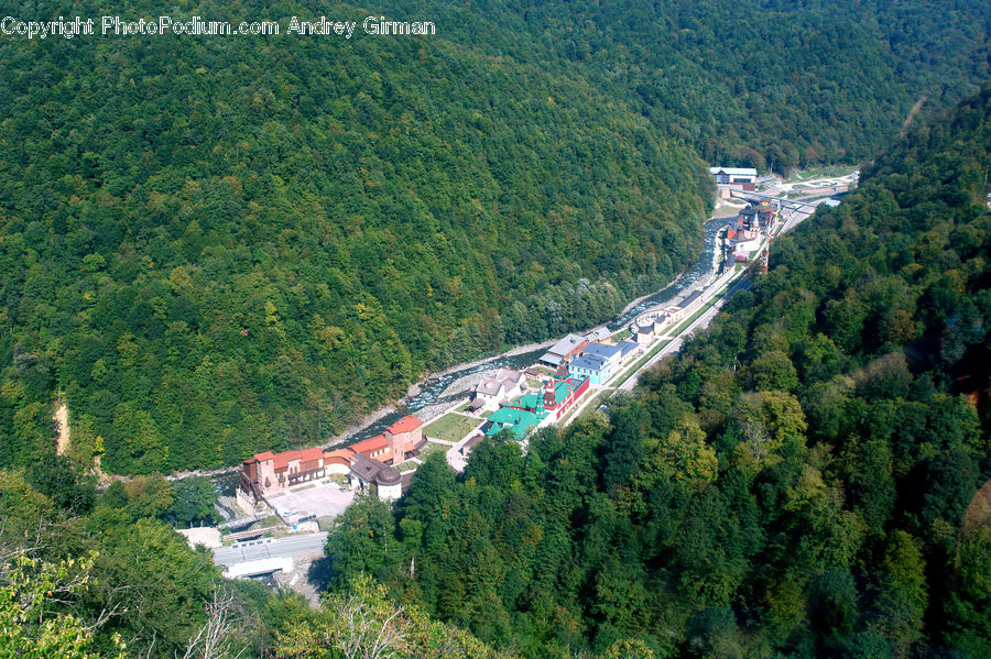 Aerial View, Freeway, Road, Forest, Jungle, Rainforest, Vegetation