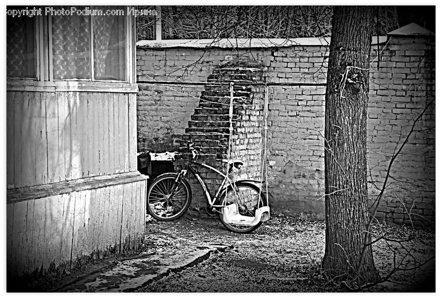 Bicycle, Bike, Vehicle, Alley, Alleyway, Road, Street