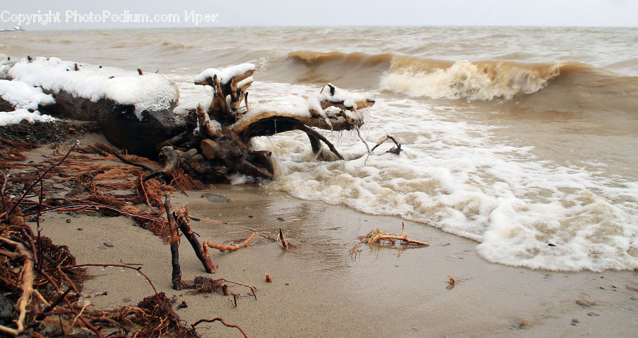 Rust, Beach, Coast, Outdoors, Sea, Water, Driftwood