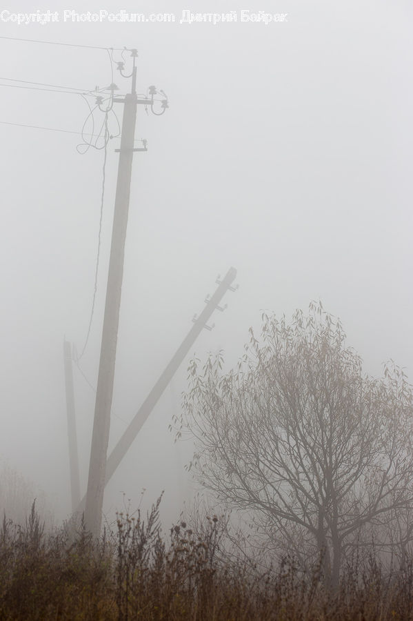 Pole, Fog