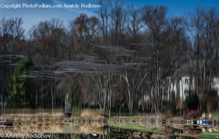 Water, Outdoors, Pond, Rubble, Land, Marsh, Swamp