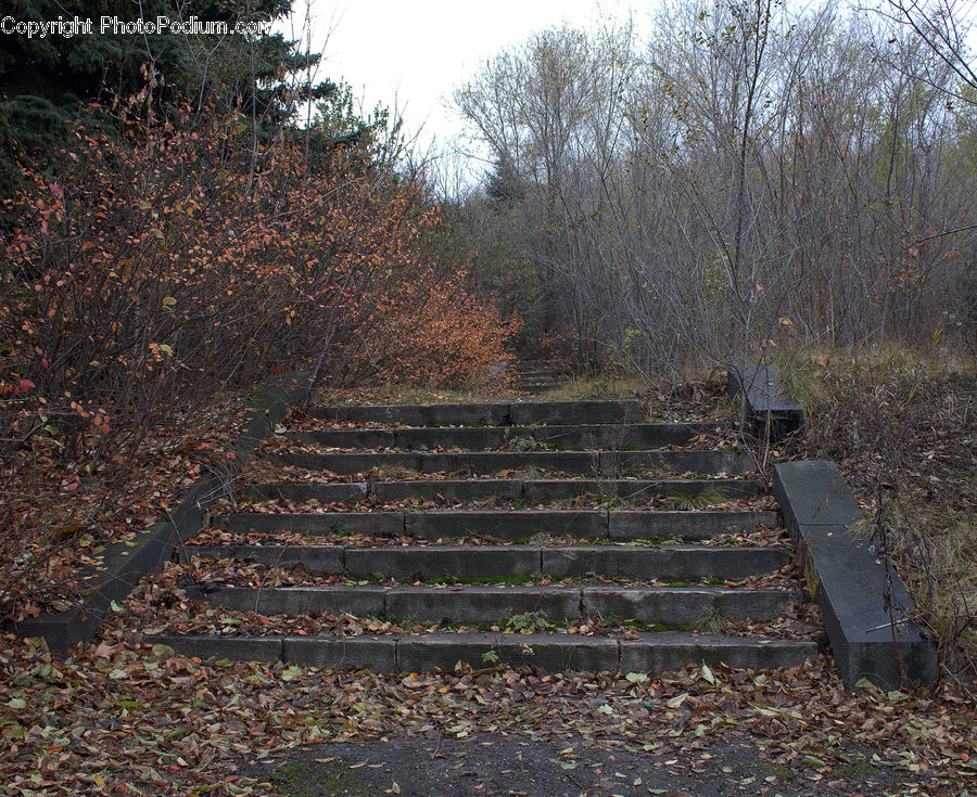 Dirt Road, Gravel, Road, Tomb, Park Bench, Bench, Soil